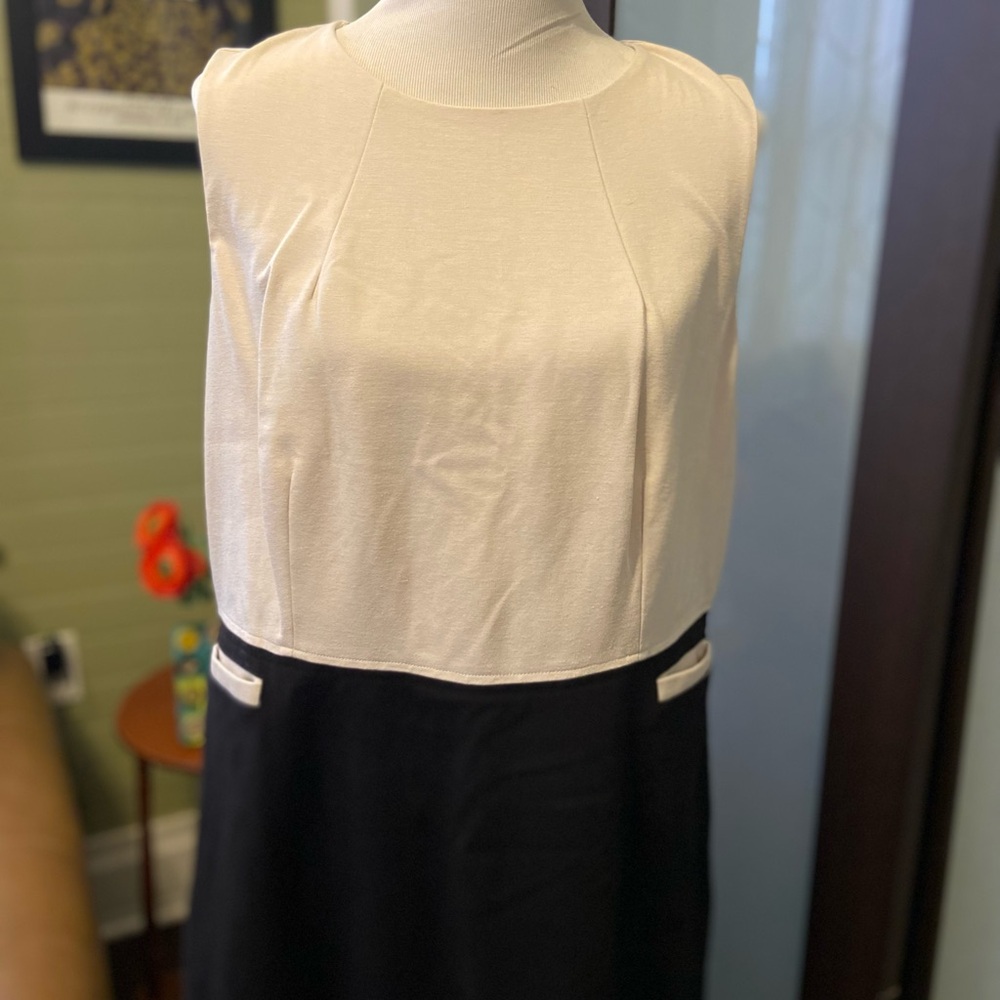 Black & Cream Dress